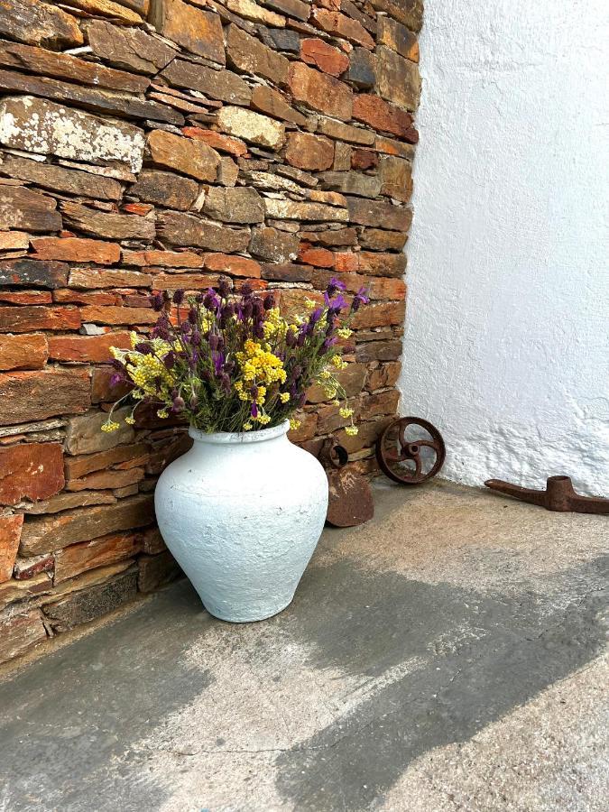 Casa Da Cerca Apartment Corte do Pinto ภายนอก รูปภาพ